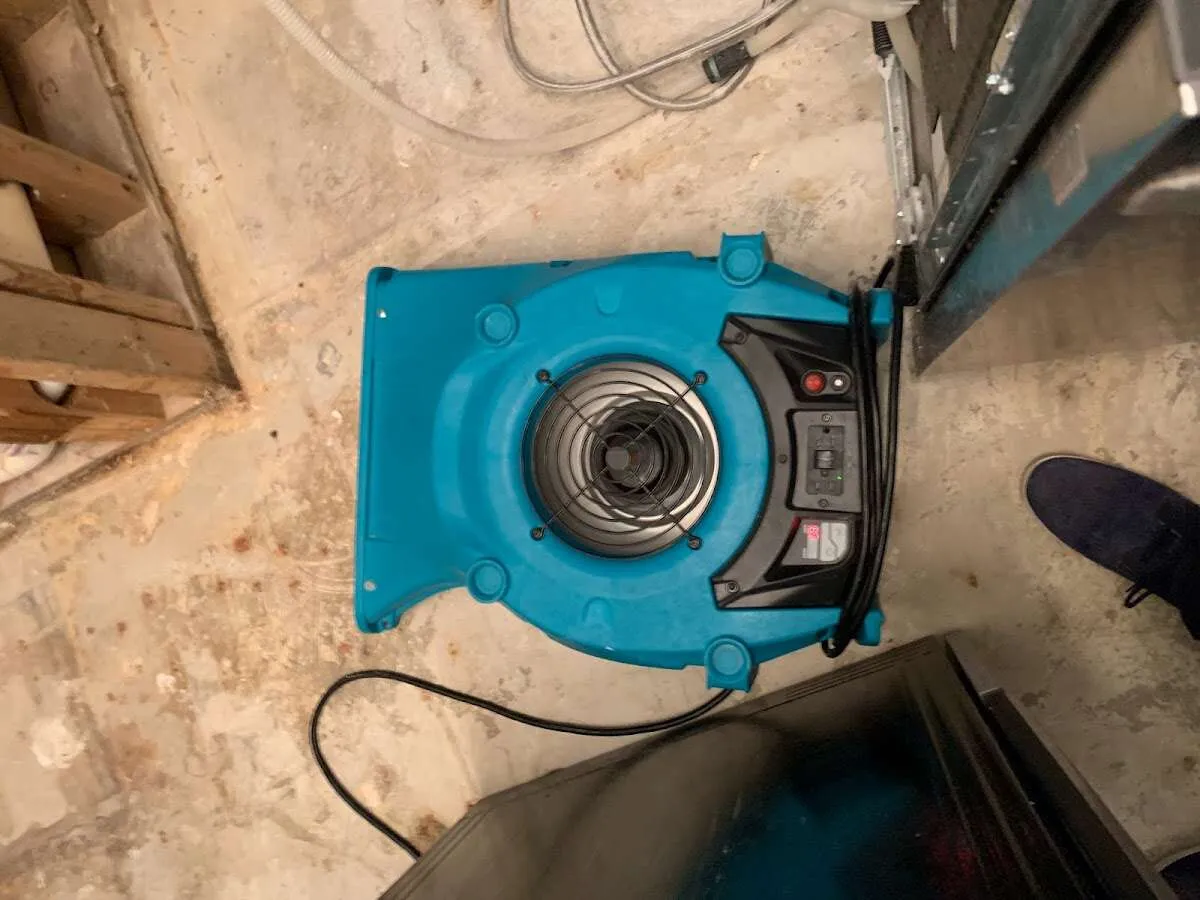 Air mover drying equipment for Mold Remediation & Removal in Gaines