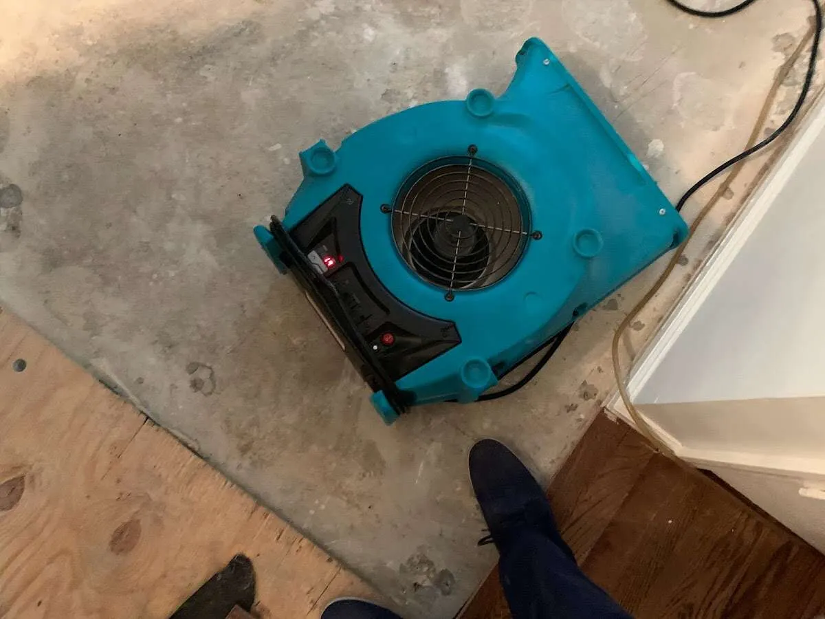 Air mover drying subfloor during Commercial Water Damage Restoration in Gaines